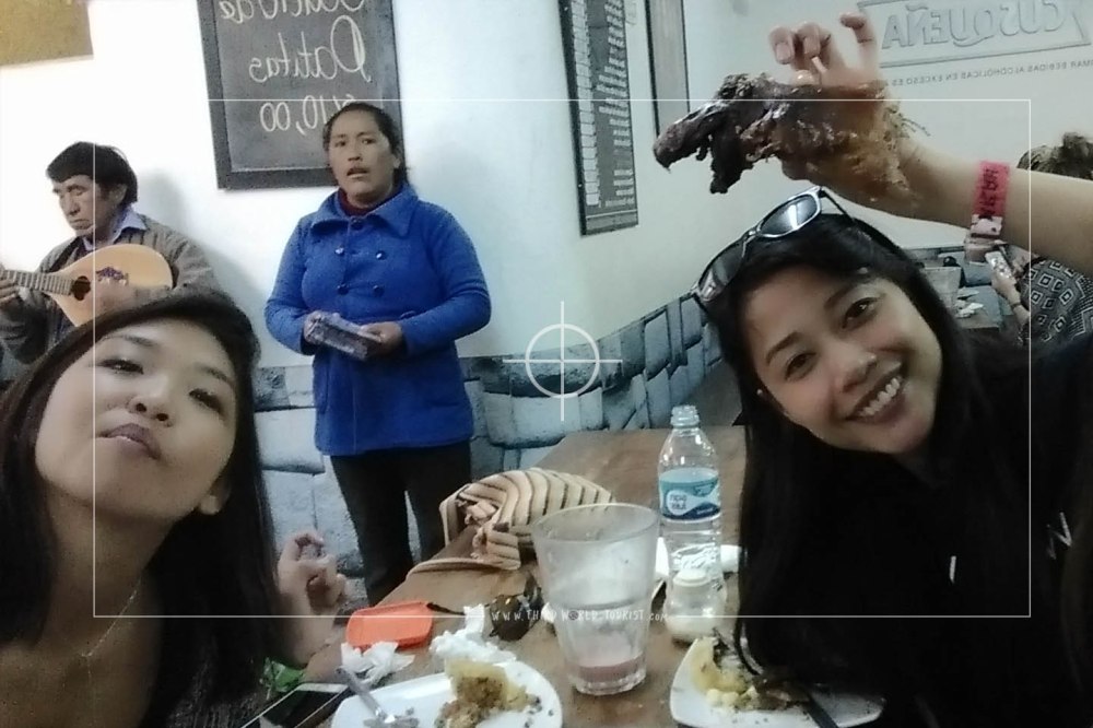 photos_top10rules guinea pig